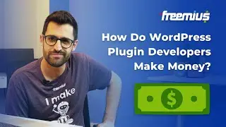 How Do WordPress Plugin Developers Make Money?