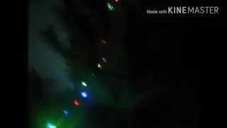 My Christmas tree. Happy New Year everyone!