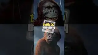King Kong (Toho) Vs Suko (MV) | #toho #monsterverse