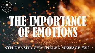 212. Ascension Messages - The Importance of Emotions