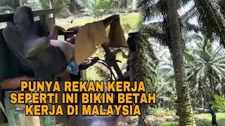 PUNYA REKAN KERJA SEPERTI INI BIKIN BETAH KERJA DI MALAYSIA