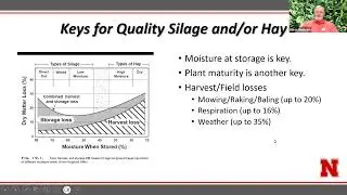 Key Considerations for Silage or Hay from Warm Season Annuals