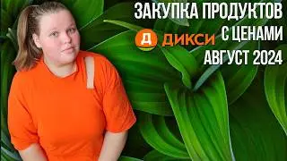 ЗАКУПКА ПРОДУКТОВ С ЦЕНАМИ  АВГУСТ 2024 / ЧТО В МОЕЙ КОРЗИНЕ 🛍 ДОСТАВКА ДИКСИ 😍 ЗАКУПКА НА НЕДЕЛЮ