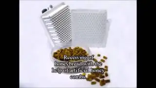 Инвентарь по сбору перги