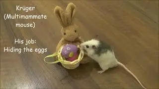 Easter Bunny's Little Helpers