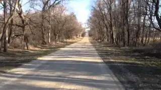 Psalm 23 in the woods