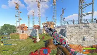 rust mlrs
