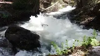 Splendid Nature