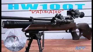 Rats Shooting with HW100 & Impact MK2