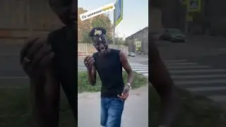 Чайка😂
