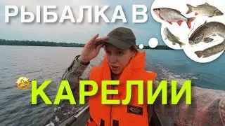 КАНИКУЛЫ В КАРЕЛИИ ЧАСТЬ 2: БЕЗУДЕРЖНАЯ РЫБАЛКА