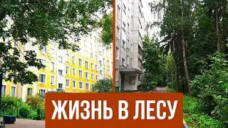 Ясенево. Подробный обзор лучшего спального района Москвы.