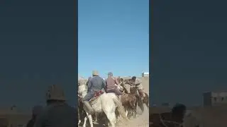 respect ko'pkari