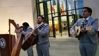 Mariachi at TAMIU part 1