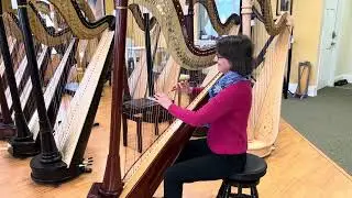 Mahogany Camac Clio EX G102
