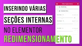 Como inserir VÁRIAS SEÇÕES INTERNAS no Elementor - Redimensionando QUALQUER elemento.
