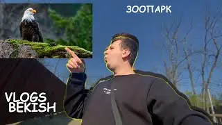 Зоопарк Владивосток