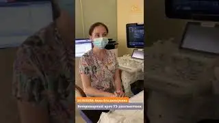 Если питомец получил травму, необходимо сделать УЗИ внутренних органов