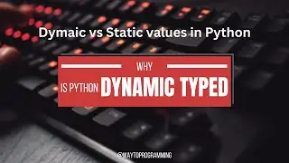Dynamic vs Static Values in Python