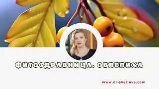 Облепиха. Научно доказанные Лечебные свойства ягод, листьев и коры.  Масло облепихи. Рецепты