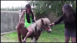 small pony riding by nice lady