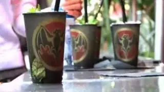 Mysteryland 2008 | sponsor movie
