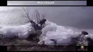IL MARE  FENOMENO  INSPIEGABILE