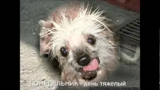 Ты сама придумала, то - чего Нет...!!