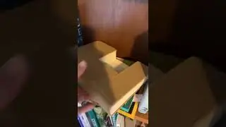 Secret passageway to bedroom! 📚