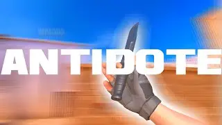 ANTIDOTE STANDOFF 2 || HIGHLIGHTS | ZURT