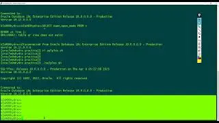 Connect to Oracle Database Client Using Bash Shell Script