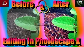 Editing in PhotoScape X(before and after editing part 2)