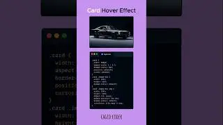 card hover effect using css #css #webdevelopment #html #css3 #html5 #uidesign #uxdesign