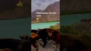 #video