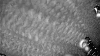 RMS BR0012 20240120 210612 963557 timelapse