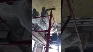 26 августа 2024 г.
