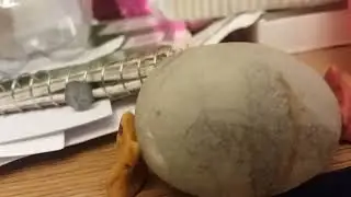 clay world; p1