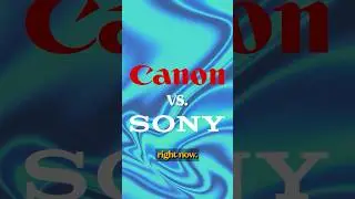 Team Canon vs Team Sony