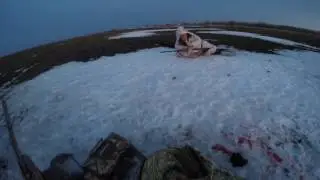 Охота на гуся весна 2017