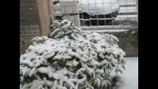 Budapesten szakad a hó :-)