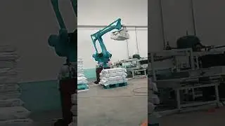 Industrial Robot Applications in Palletizing#palletizingrobots #industrialrobots #robotics #shorts