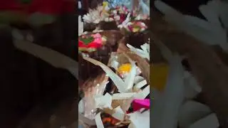 Upacara Hari Saraswati dan Pujawali Kantor DPD RI Provinsi Bali