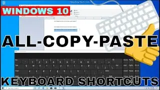 Ctrl + A / C / V | Select All, Copy, Paste | The Basics In Windows 10 Hotkeys
