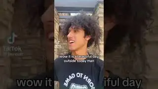 Memes From The Discord Basement