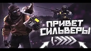 Да это сильверы...