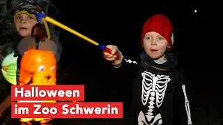 Tierischer Gruselspaß im Zoo Schwerin