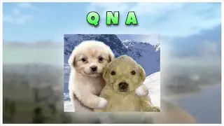 2000 SUBS QNA! (yay -_-)