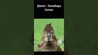 Какой ТЫ Капибара по ИМЕНИ? 4 Часть! 