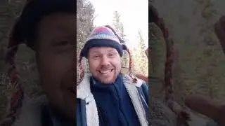 Бонусы перезагрузки