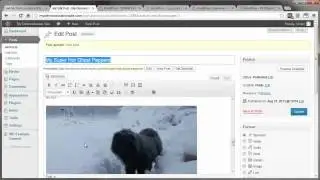 Optimize Home Page For Your Website